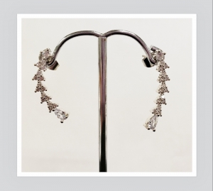 Earrings ER19-0462